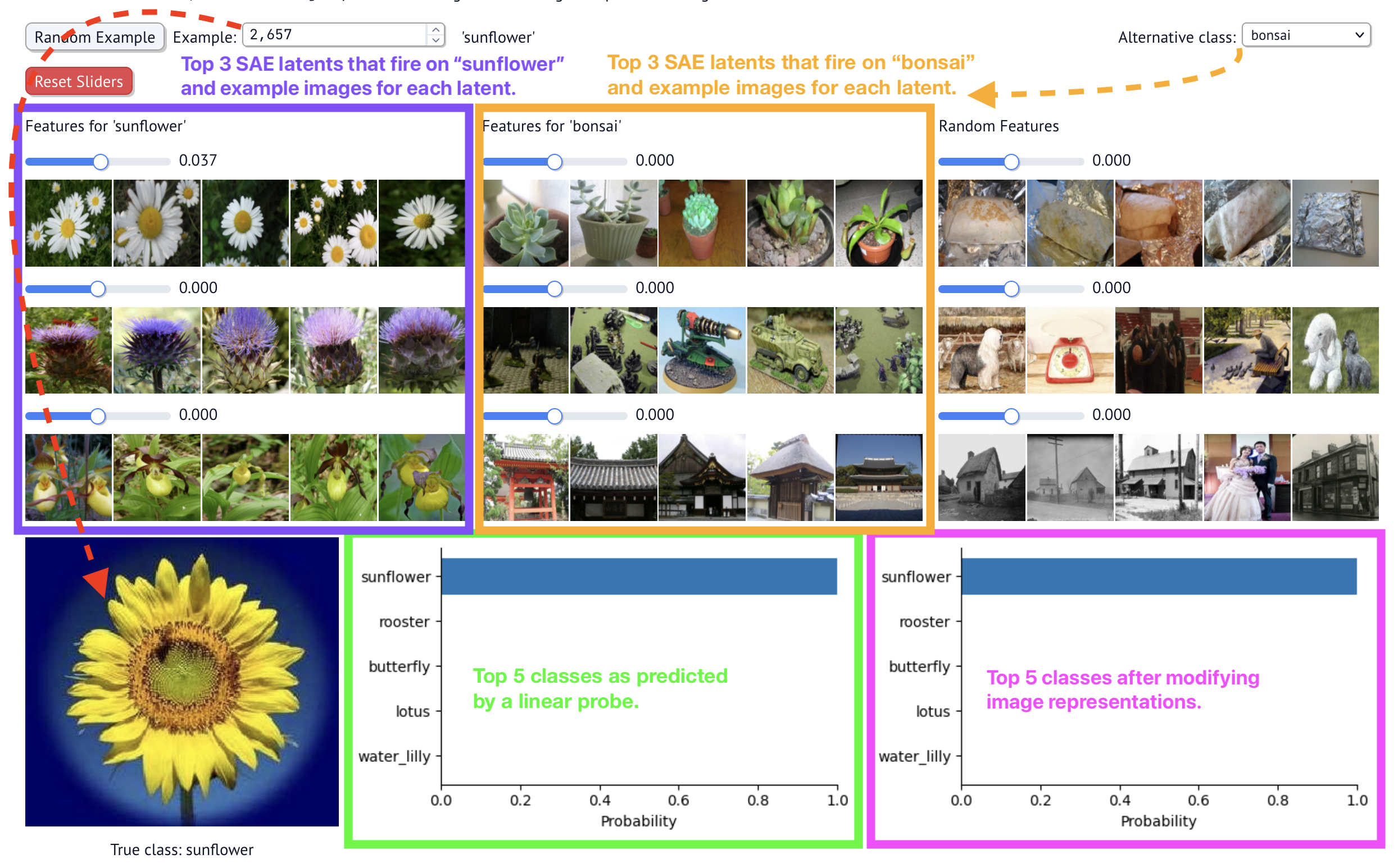 Annotated dashbaord view of a sunflower example.